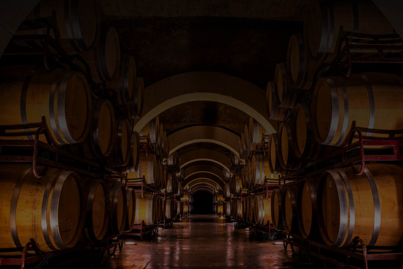 Driftwood Distillery craft spirits production facility in Katwijk, Netherlands